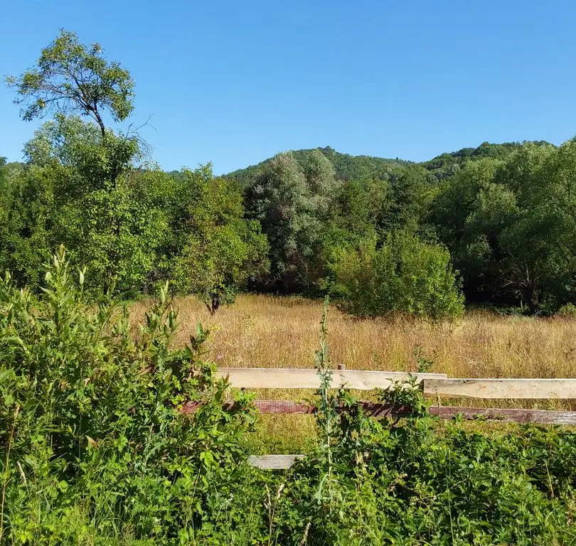 TEREN INTRAVILAN ZĂVOI\ZONA VALEA BISTREI, JUD.C-S