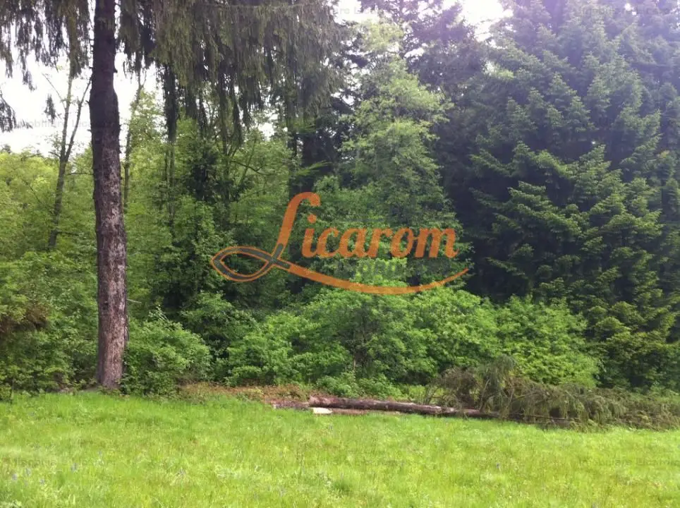 Teren intravilan Cotul Donului,pretabil Hotel/pensiune.