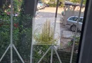 Apartament 3 camere parter Lipovei 90000Euro