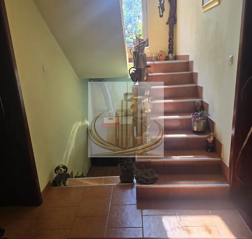 Vila exclusivista in Timisoara zona Centrala 950.000 Euro