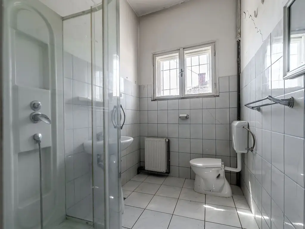 Casă pe Str. Dorobanților | 716 mp teren | Pârneava
