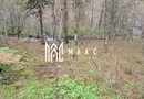 Teren Intravilan | 2000Mp | Valea Avrigului