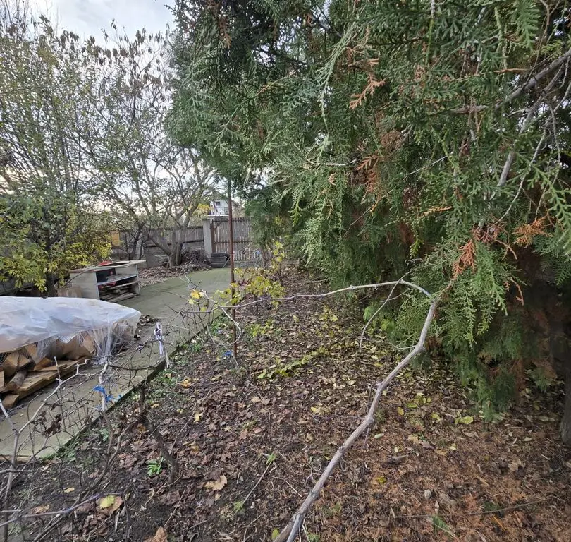 Exclusivitate! Proprietate in Sendreni, jud. Galati - 59.900 EUR
