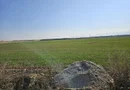 Teren intravilan 5000 mp de vânzare   Cheiul Dâmboviței apropiere A2