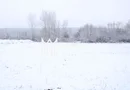 Super oferta I teren intravilan de vanzare in Cisnadie