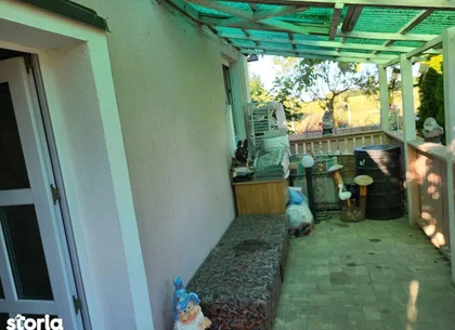 Ag EUROPA vinde casuta cu 10 ari teren în zona Careiului str. Merilor.