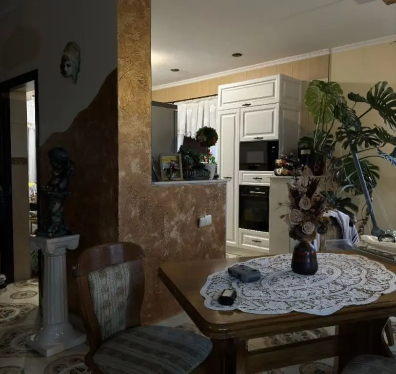 Casa de vanzare P+1, 4 Garaje, Vetis