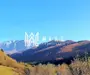 Sebesul de Sus I Terenuri 4 Parcele diferite