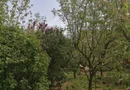 Ag EUROPA vinde casa 6 cam teren 11 ari în zona 14 Mai.
