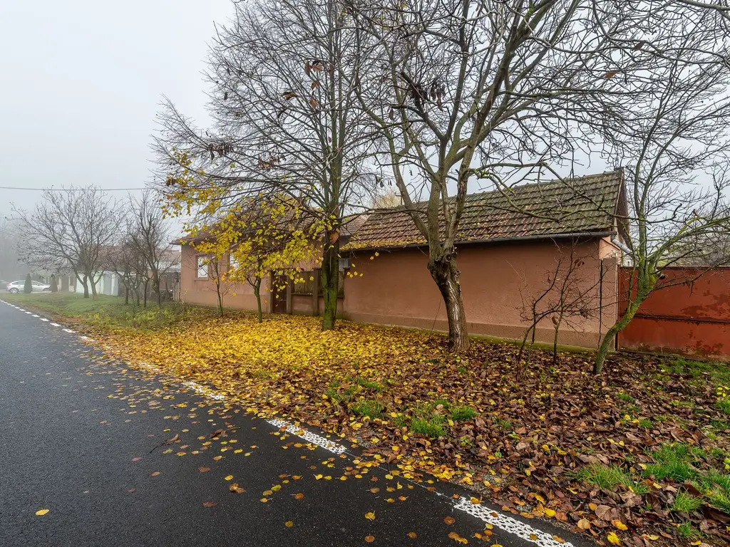 VÂNDUT - De vânzare Casă cu Grădină Generoasă in Dorobanți