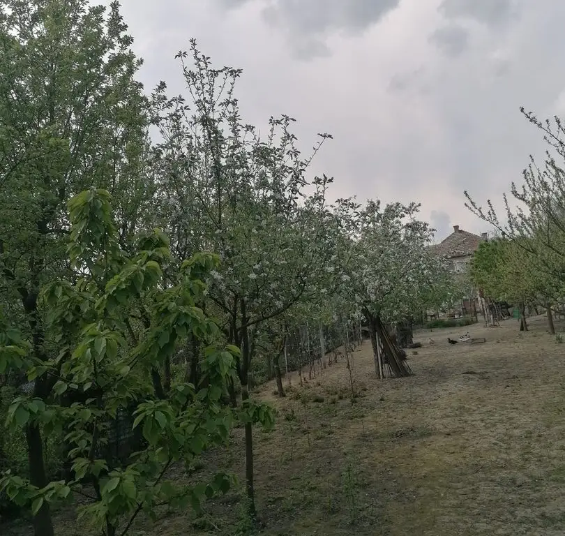 Ag EUROPA vinde casa 6 cam teren 11 ari în zona 14 Mai.