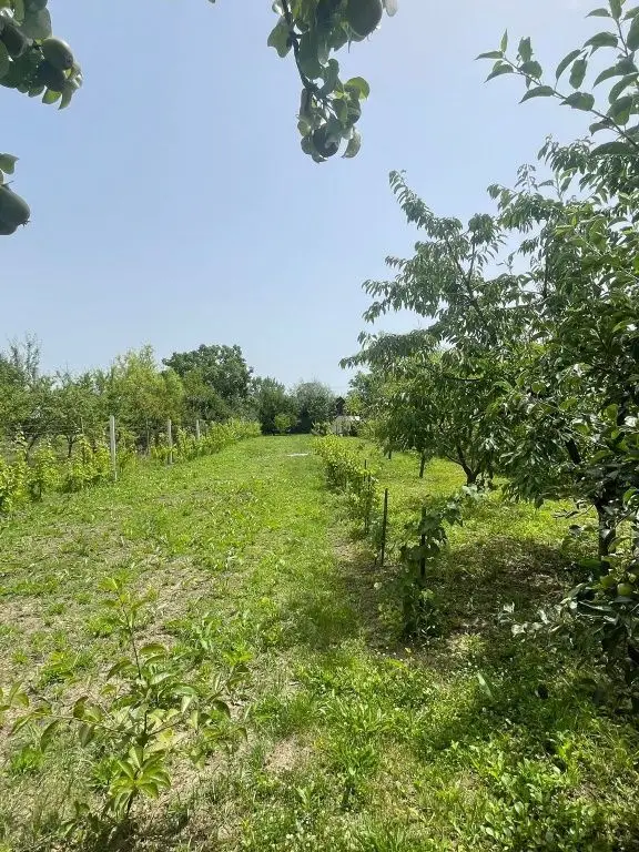 Vând teren intravilan, Str Dealului 64 - 936 mp,front stradal 13.4 m