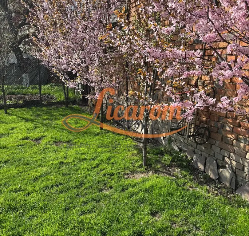 Proprietate saseasca cu 2 corpuri de casa, Comuna Vulcan,Brasov.