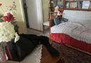 Vand apartament