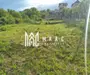 Teren intravilan de vânzare Daia Nouă | 1000 mp | Ideal pentru construcție