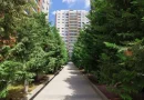 Vanzare 3 camere InCity Dristor-Piata Alba Iulia