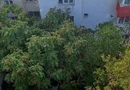 Apartament 3 camere, Clucerului