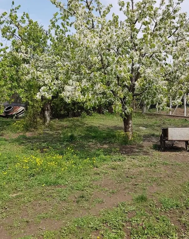 Teren 2.600 mp, utilități, Str. Merișor – Giurgiu