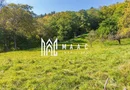 Teren | Intravilan | 2439 MPU | Fântânele