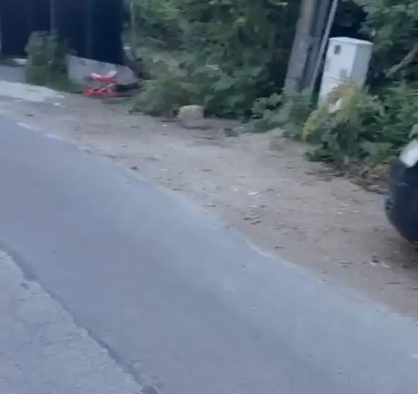 Ciolpani teren intravila 2500 mp de vanzare