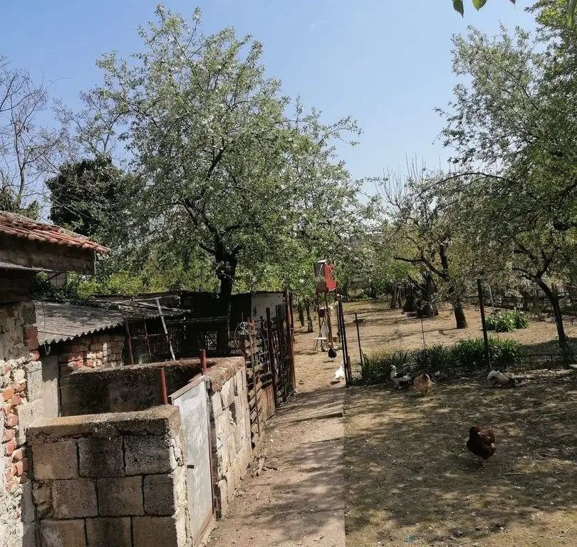 Ag EUROPA vinde casa 6 cam teren 11 ari în zona 14 Mai.