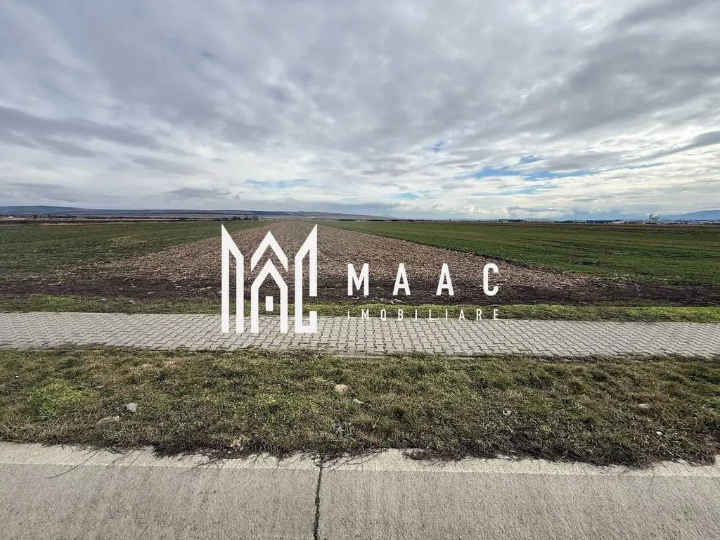 Teren intravilan | 9600 mp | Șură Mică | Utilități | Drum Asfaltat