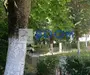 Apartament | 3 camere | Traian | Etaj 3
