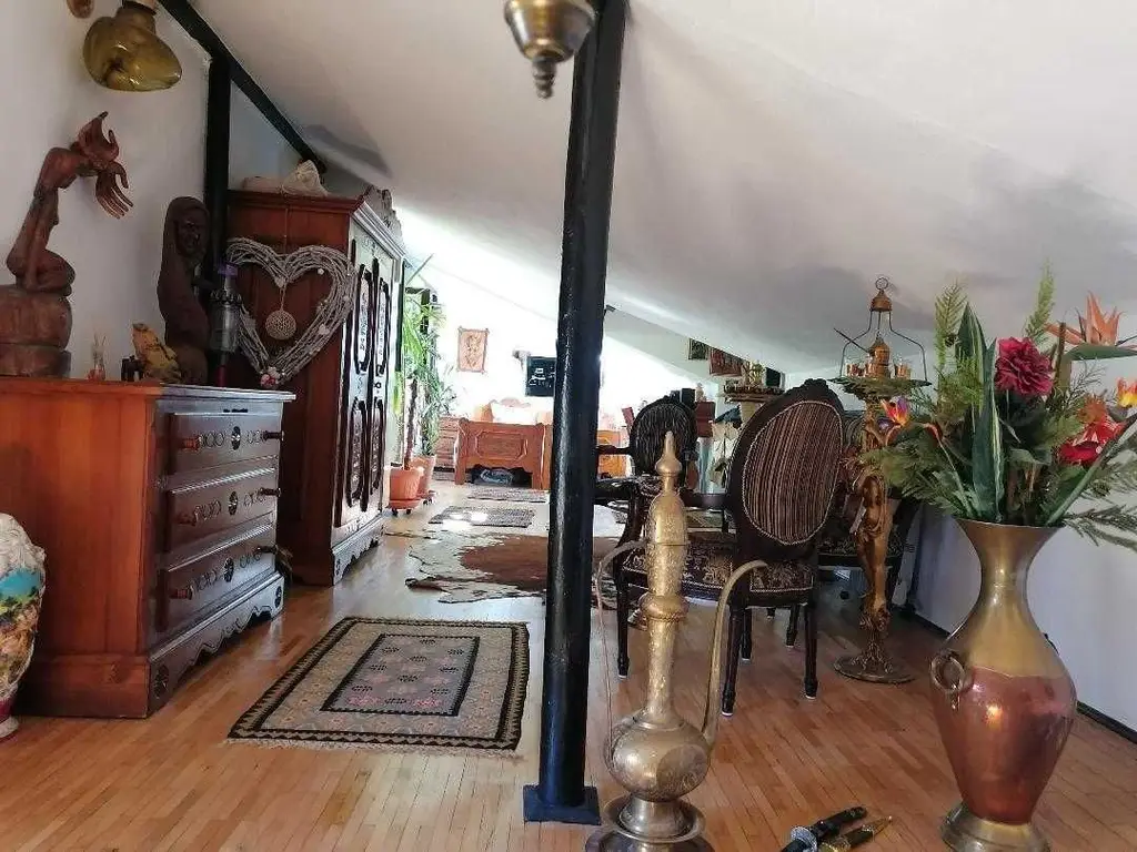 COTROCENI - Cuibușorul de nebunii al pictorului Zamfir DUMITRESCU