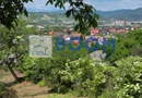 Teren 1036 MP | Budesti | La Strada Pincipala