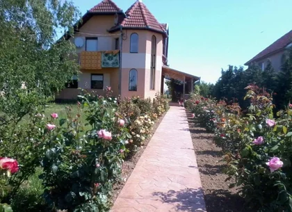 Casă 2 familii / firmă + livadă Satu Mare - Cionchești