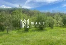 Teren extravilan 61.000 mp | Veseud, Sibiu | plantație aluni, trufe