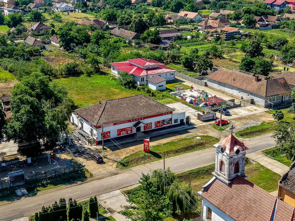 Oportunitate investiție – Spațiu comercial închiriat – Secusigiu