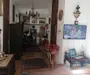 COTROCENI - Cuibușorul de nebunii al pictorului Zamfir DUMITRESCU