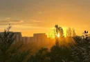 Apartament cu 3 camere in Aviatiei