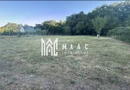 Teren Intravilan I 837 mp La pădure I Acces auto I Șura Mică