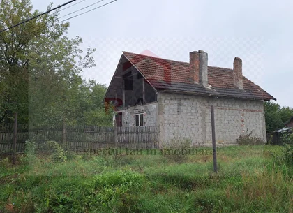 Casa de Vanzare Baiculesti Arges