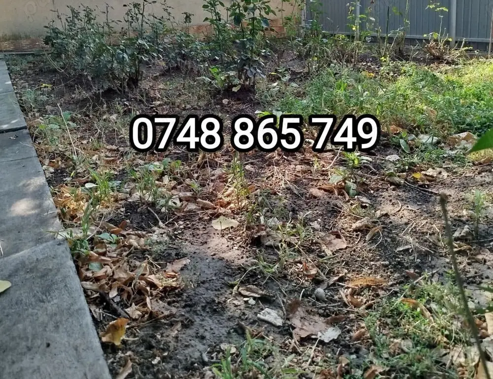 OPORTUNITATE ! Casa 3 C 100 m + teren 350 m , P de Piatra_Palas Campus