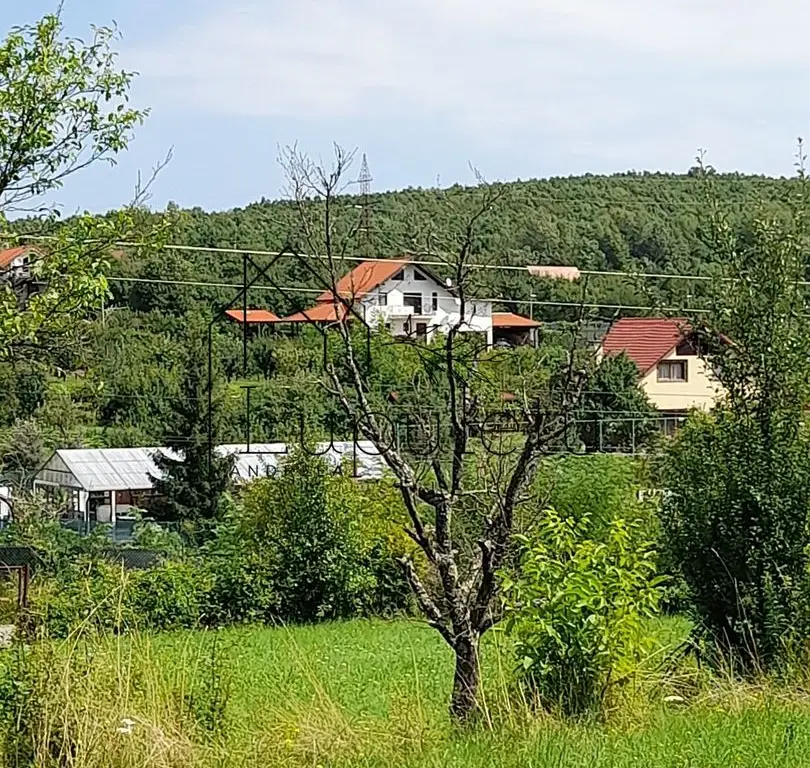 Teren Intravilan | 1500 MPU | Tocile, Comuna Sadu