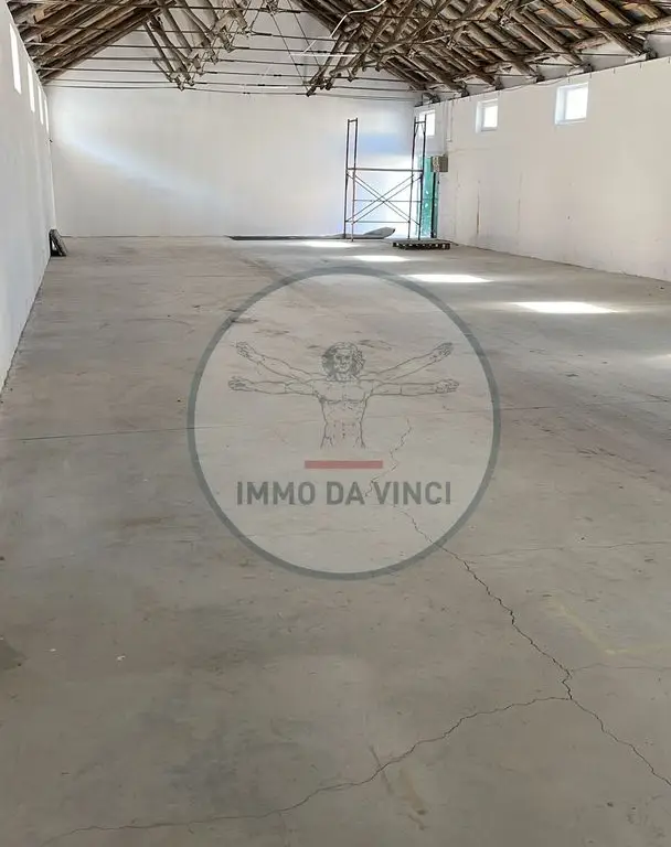 Hală Nouă 270 mp – Str. Depozitelor 56, Satu Mare