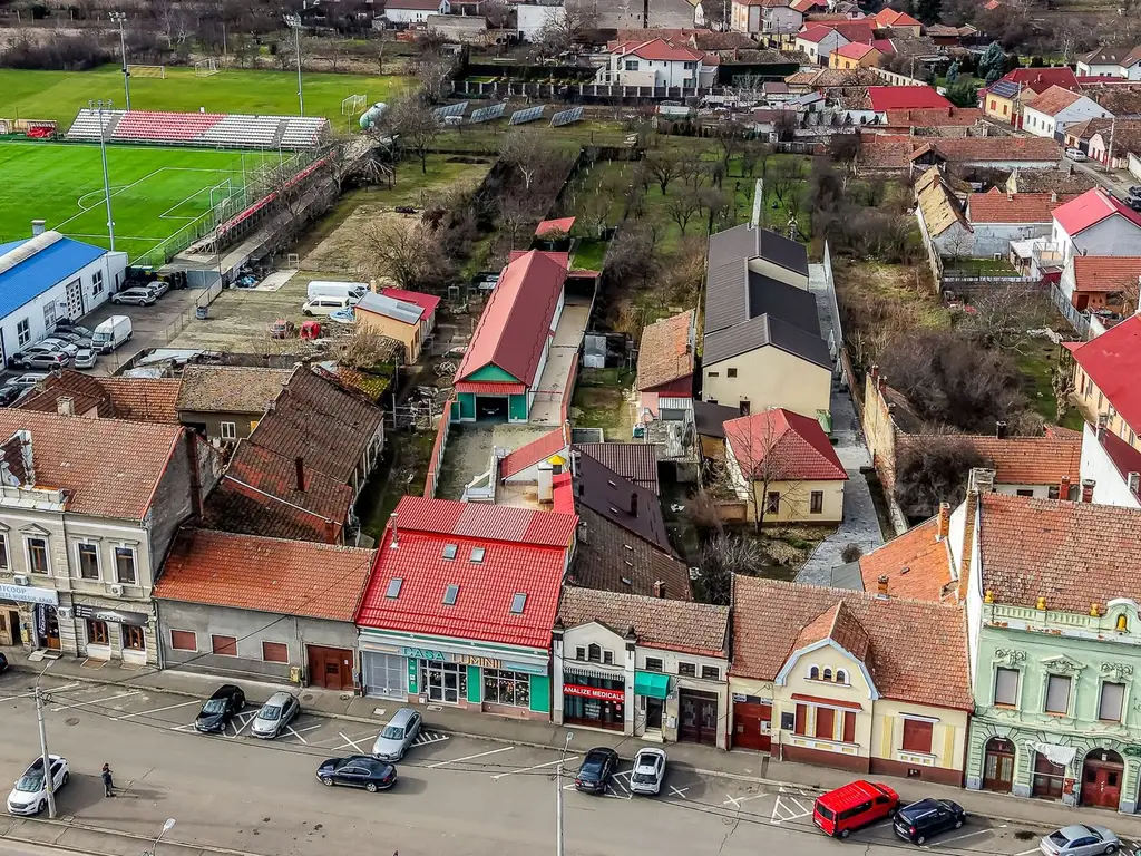 3 surse de venit într-o SINGURĂ proprietate de 950 mp în Aradul Nou