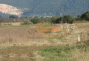 Codlea teren constructii industriale sau logistice 8 ha pana la 24 Ha