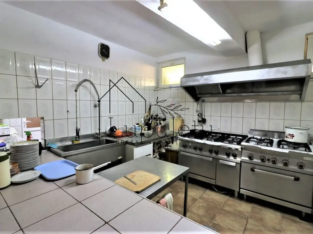 Pensiune de vânzare | 400 MPU | 10 Camere | Rasinari - Curmatura