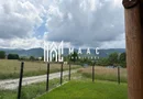 Cabana 5 Camere I 1520 mp teren I Lac de pești I Zona Tocile