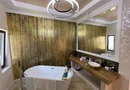 Vila cu piscina PREMIUM in Bucium