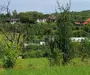 Teren Intravilan | 1500 MPU | Tocile, Comuna Sadu