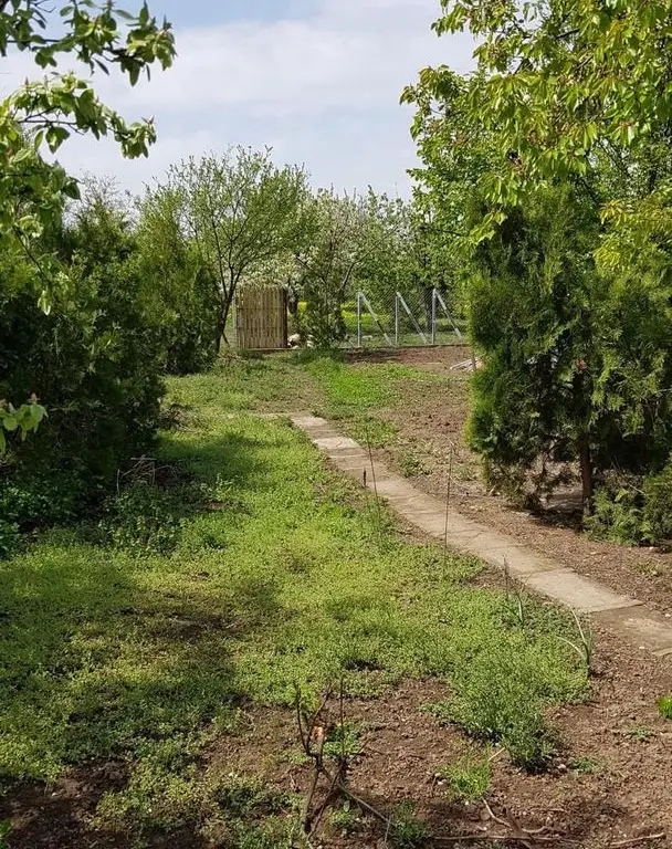 Teren 2.600 mp, utilități, Str. Merișor – Giurgiu