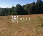 Teren Extravilan 20.000Mp I Stoenești -Vâlcea I Apă Curentă și Pădure