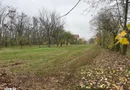 ofer spre vanzare teren pe malul lacului Snagov si vila S+P+E+M