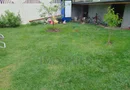 Casa individuala. 5 dormitoare. 4 bai.