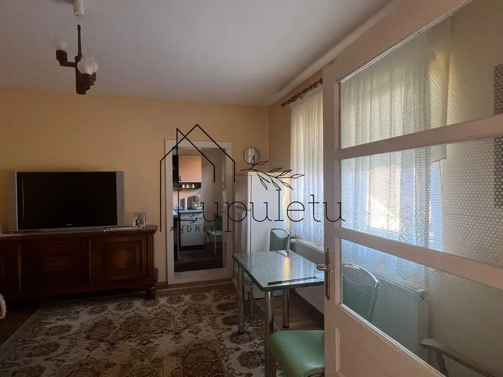 Casa de Vanzare Rasinari | 6 Camere | 200 MPU | Teren 979 MP |